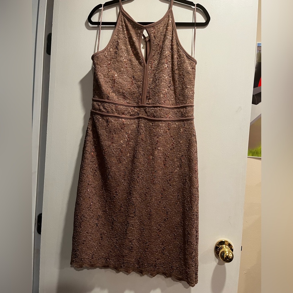 Rose Gold Dress